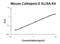 Cathepsin E antibody, EK2128, Boster Biological Technology, Enzyme Linked Immunosorbent Assay image 