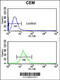 Integrin Subunit Beta 3 antibody, 63-581, ProSci, Flow Cytometry image 