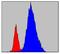 Janus Kinase 3 antibody, NBP2-37737, Novus Biologicals, Flow Cytometry image 