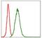 Matrix Metallopeptidase 3 antibody, GTX60542, GeneTex, Flow Cytometry image 