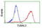 Tubulin Alpha Like 3 antibody, LS-C173510, Lifespan Biosciences, Flow Cytometry image 