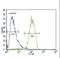 RAS Guanyl Releasing Protein 1 antibody, LS-C162458, Lifespan Biosciences, Flow Cytometry image 