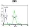 Kruppel Like Factor 16 antibody, GTX80982, GeneTex, Flow Cytometry image 