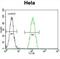 Proteasome Subunit Beta 8 antibody, abx028154, Abbexa, Flow Cytometry image 