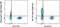 T Cell Receptor Alpha Constant antibody, 63-9986-42, Invitrogen Antibodies, Flow Cytometry image 