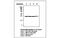 Ubiquitin C-Terminal Hydrolase L1 antibody, MBS837365, MyBioSource, Western Blot image 