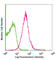 Interferon Alpha And Beta Receptor Subunit 1 antibody, 127311, BioLegend, Flow Cytometry image 