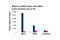 IKAROS Family Zinc Finger 1 antibody, 9034S, Cell Signaling Technology, Chromatin Immunoprecipitation image 