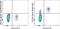 C-X-C Motif Chemokine Receptor 5 antibody, 63-9185-42, Invitrogen Antibodies, Flow Cytometry image 