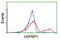 HSPA (Hsp70) Binding Protein 1 antibody, LS-C173192, Lifespan Biosciences, Flow Cytometry image 