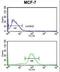 Cell Division Cycle 73 antibody, LS-C168598, Lifespan Biosciences, Flow Cytometry image 