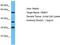 Olfactory Receptor Family 8 Subfamily H Member 1 antibody, TA332292, Origene, Western Blot image 