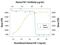 Fibroblast Growth Factor 3 antibody, AF1206, R&D Systems, Western Blot image 