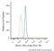 RPTOR Independent Companion Of MTOR Complex 2 antibody, NBP1-51645AF488, Novus Biologicals, Flow Cytometry image 