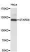 StAR Related Lipid Transfer Domain Containing 8 antibody, STJ26624, St John