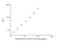 ADAMTS13 antibody, NBP2-66441, Novus Biologicals, Enzyme Linked Immunosorbent Assay image 