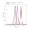 RAD17 Checkpoint Clamp Loader Component antibody, 720269, Invitrogen Antibodies, Flow Cytometry image 