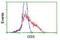 Glutathione Synthetase antibody, NBP2-03351, Novus Biologicals, Flow Cytometry image 