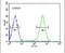 Ataxin 2 Like antibody, PA5-25107, Invitrogen Antibodies, Flow Cytometry image 