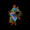Leucine Rich Repeat Kinase 2 antibody, NBP2-42175, Novus Biologicals, Immunofluorescence image 