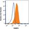 Receptor Activity Modifying Protein 2 antibody, MAB6500, R&D Systems, Flow Cytometry image 