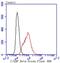 CCAAT Enhancer Binding Protein Beta antibody, NBP2-67635, Novus Biologicals, Flow Cytometry image 