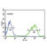 Epiregulin antibody, abx032310, Abbexa, Western Blot image 