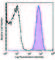 CD151 Molecule (Raph Blood Group) antibody, 350407, BioLegend, Flow Cytometry image 