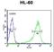 1-phosphatidylinositol-4,5-bisphosphate phosphodiesterase beta-1 antibody, LS-C163772, Lifespan Biosciences, Flow Cytometry image 