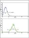 Interleukin 18 Receptor Accessory Protein antibody, PA5-72578, Invitrogen Antibodies, Flow Cytometry image 