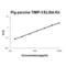 TIMP Metallopeptidase Inhibitor 3 antibody, EK0523-PO, Boster Biological Technology, Enzyme Linked Immunosorbent Assay image 