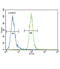 Ectonucleotide Pyrophosphatase/Phosphodiesterase 2 antibody, abx031747, Abbexa, Flow Cytometry image 