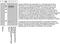 Platelet Derived Growth Factor Receptor Alpha antibody, 44-1000G, Invitrogen Antibodies, Western Blot image 