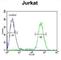 Protein Phosphatase 1 Regulatory Subunit 3A antibody, abx025841, Abbexa, Western Blot image 
