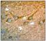 Cyclin Dependent Kinase 5 antibody, ab40773, Abcam, Immunohistochemistry paraffin image 