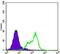 THAP Domain Containing 11 antibody, GTX82796, GeneTex, Flow Cytometry image 