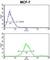 GABA Type A Receptor Associated Protein Like 2 antibody, abx030117, Abbexa, Western Blot image 