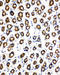 Succinate Dehydrogenase Complex Subunit C antibody, LS-C312982, Lifespan Biosciences, Immunohistochemistry frozen image 