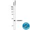 Calbindin 1 antibody, MAB3320, R&D Systems, Immunohistochemistry paraffin image 