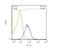 MET antibody, NBP2-44306, Novus Biologicals, Flow Cytometry image 