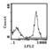 Ig kappa chain C region, A allele antibody, SA5-10182, Invitrogen Antibodies, Flow Cytometry image 