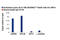 Acetyl Lysine antibody, 9814S, Cell Signaling Technology, Chromatin Immunoprecipitation image 