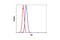 FGR Proto-Oncogene, Src Family Tyrosine Kinase antibody, 2755S, Cell Signaling Technology, Flow Cytometry image 