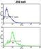 Activin A Receptor Type 1B antibody, abx033689, Abbexa, Western Blot image 