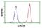 Glycine Amidinotransferase antibody, NBP2-00984, Novus Biologicals, Flow Cytometry image 