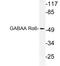 Gamma-Aminobutyric Acid Type A Receptor Alpha6 Subunit antibody, LS-C177837, Lifespan Biosciences, Western Blot image 