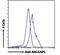 Rac GTPase-activating protein 1 antibody, 46-260, ProSci, Immunofluorescence image 