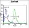 Engulfment and cell motility protein 2 antibody, PA5-71469, Invitrogen Antibodies, Flow Cytometry image 