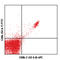 CD8b Molecule antibody, 140410, BioLegend, Flow Cytometry image 