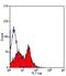 Dipeptidyl Peptidase 4 antibody, NB100-63642, Novus Biologicals, Flow Cytometry image 